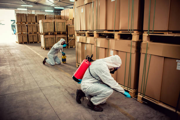 Best Best Pest Control Companies  in Red Boiling Springs, TN