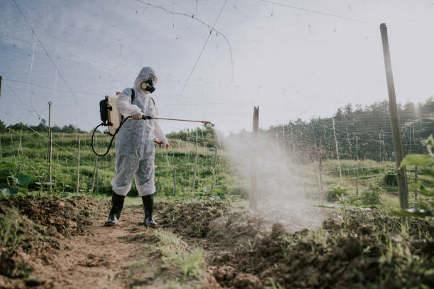 Best Pest Removal Services  in Red Boiling Springs, TN