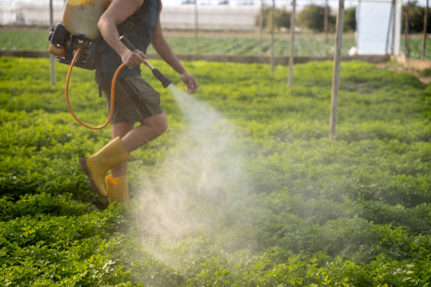 Best Wildlife Control Services  in Red Boiling Springs, TN